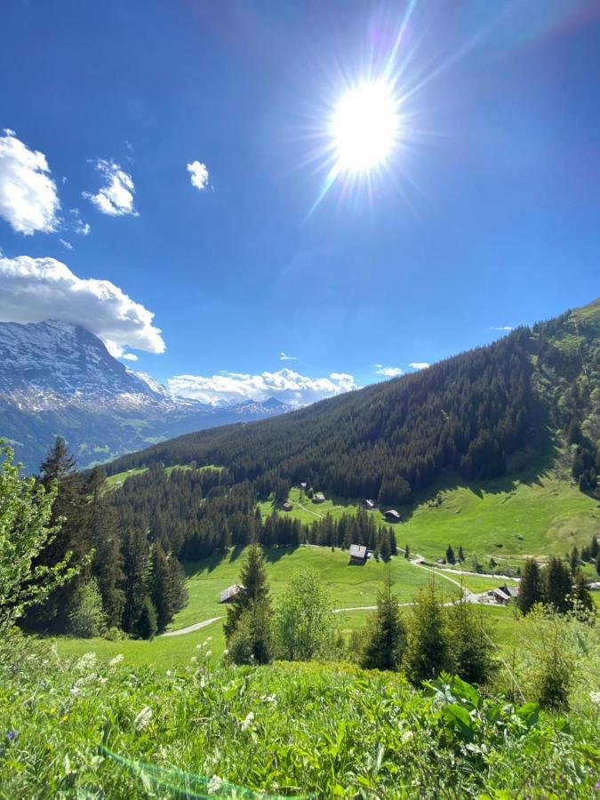 Chalet Herrschaft Grindelwald Exterior foto