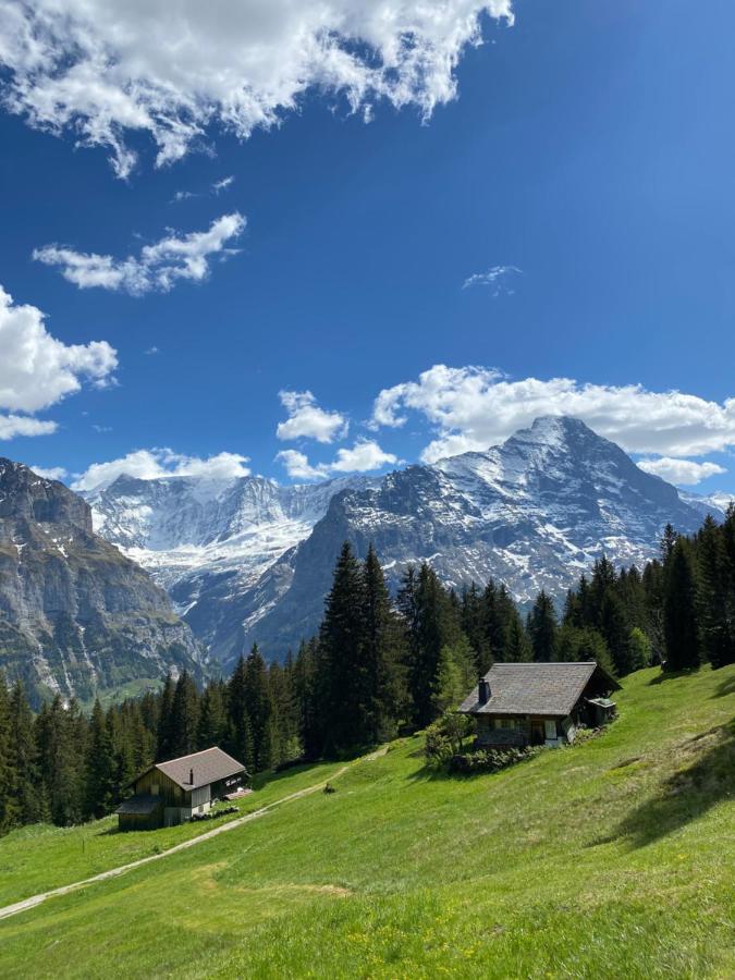 Chalet Herrschaft Grindelwald Exterior foto