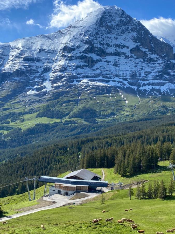 Chalet Herrschaft Grindelwald Exterior foto