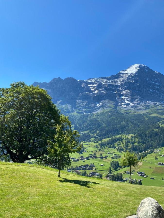 Chalet Herrschaft Grindelwald Exterior foto