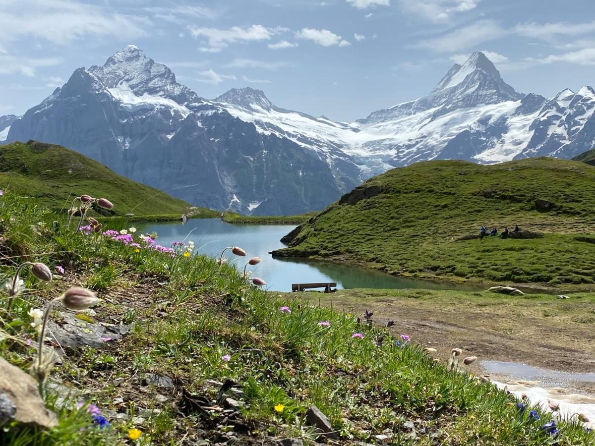 Chalet Herrschaft Grindelwald Exterior foto
