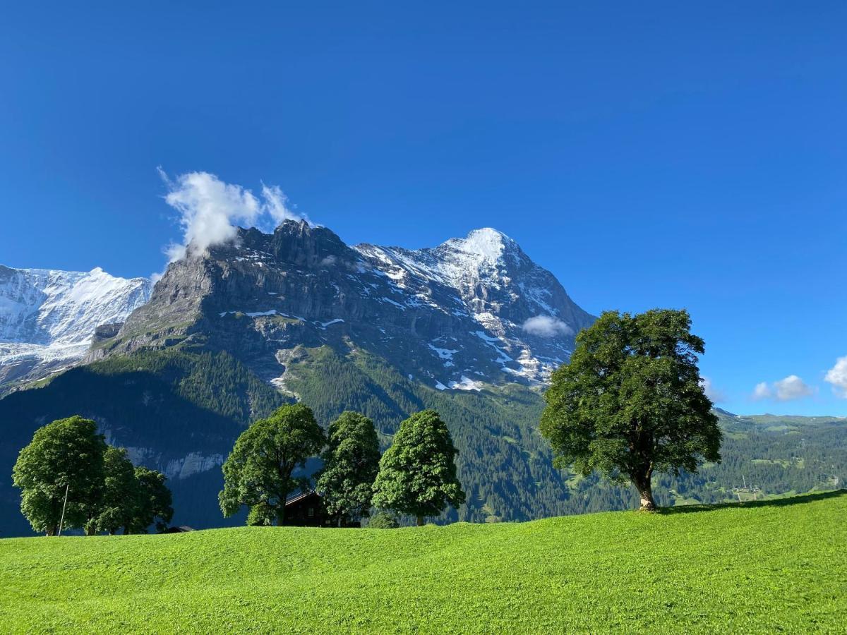 Chalet Herrschaft Grindelwald Exterior foto