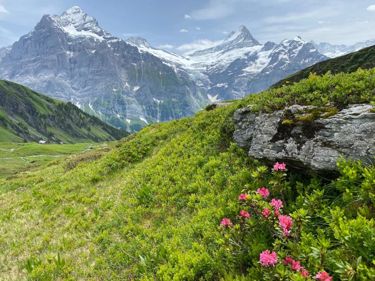 Chalet Herrschaft Grindelwald Exterior foto
