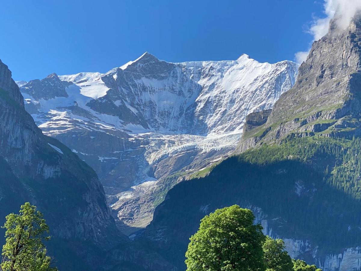 Chalet Herrschaft Grindelwald Exterior foto