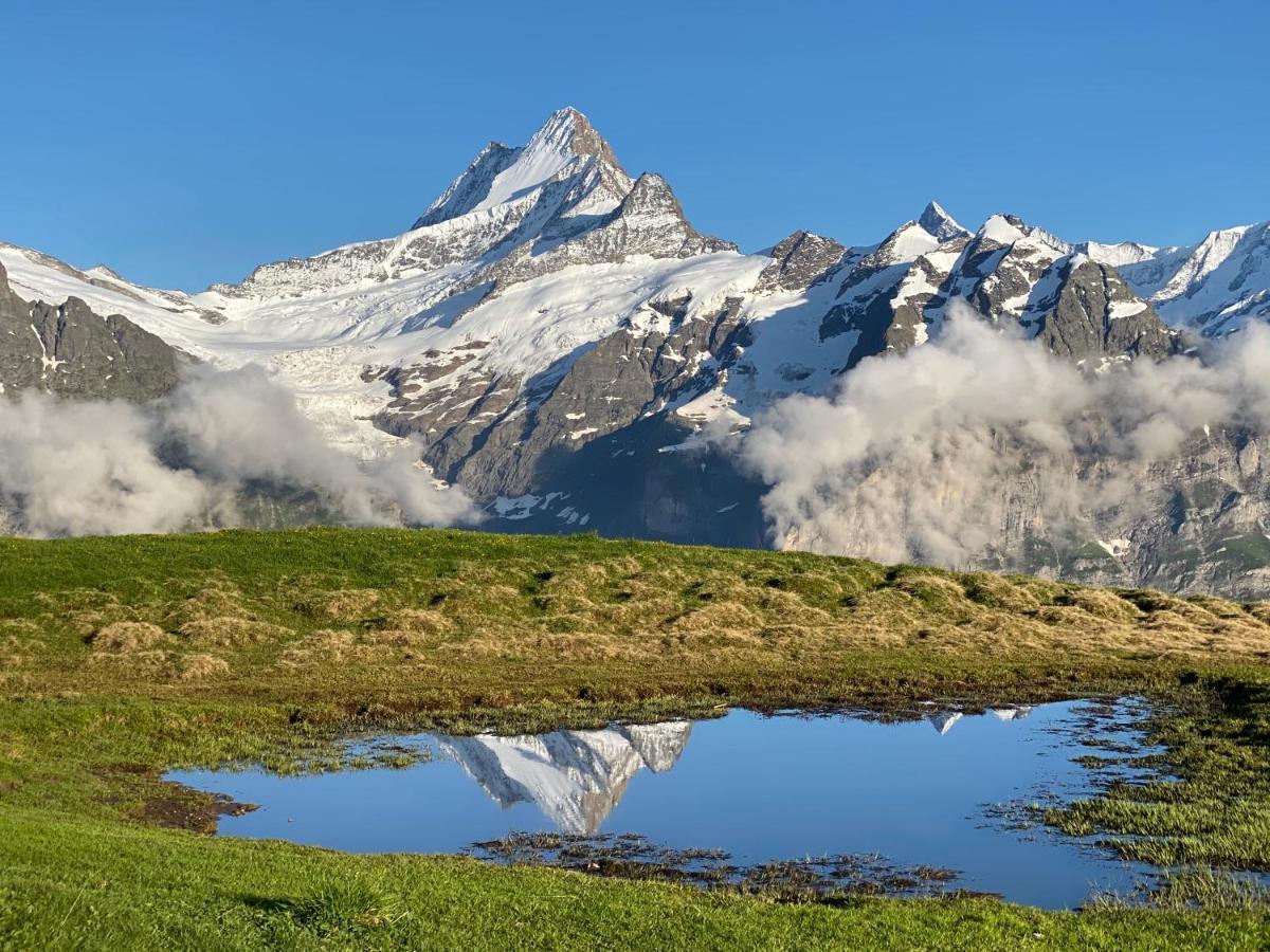 Chalet Herrschaft Grindelwald Exterior foto