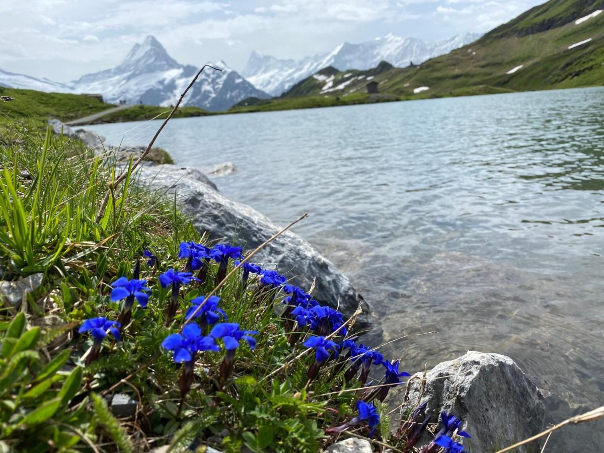 Chalet Herrschaft Grindelwald Exterior foto