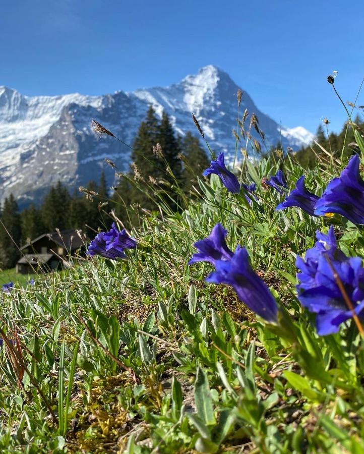 Chalet Herrschaft Grindelwald Exterior foto