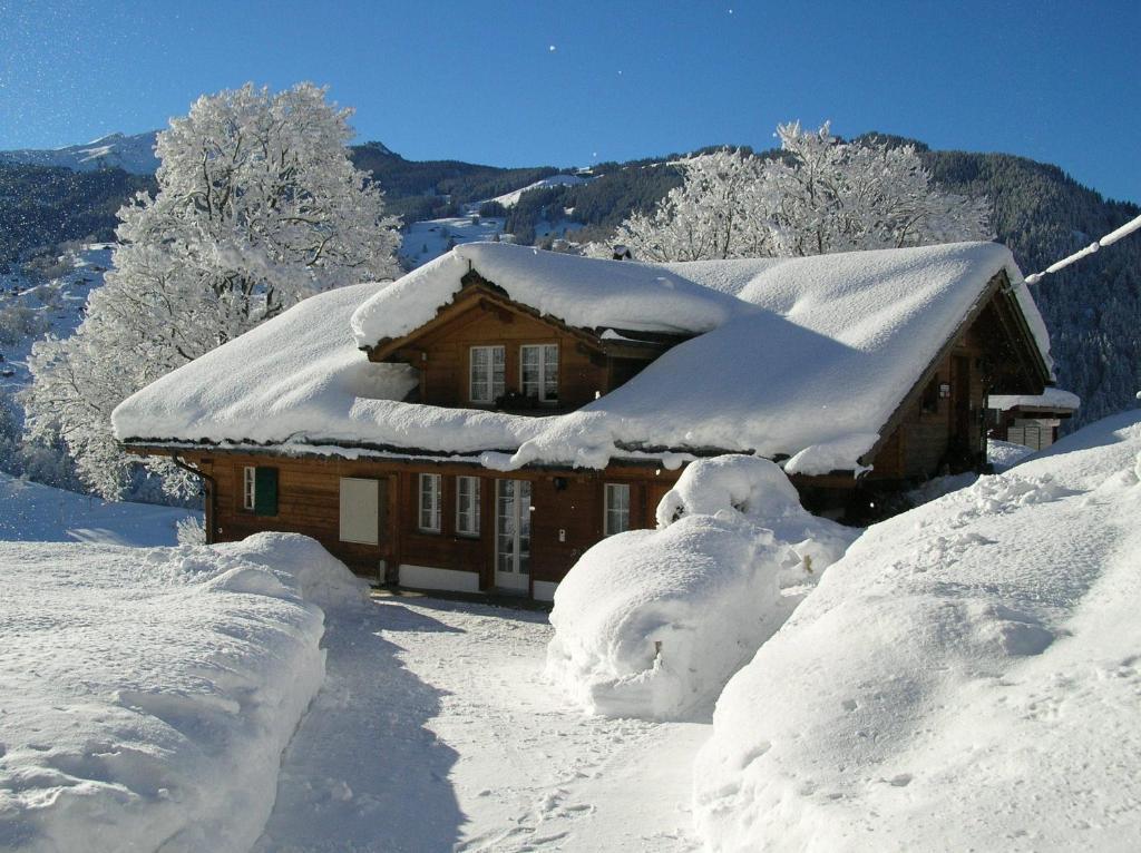 Chalet Herrschaft Grindelwald Exterior foto