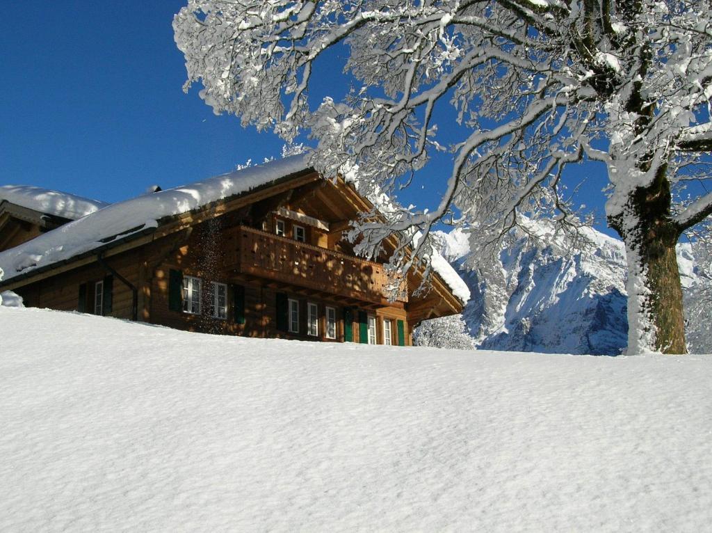 Chalet Herrschaft Grindelwald Exterior foto
