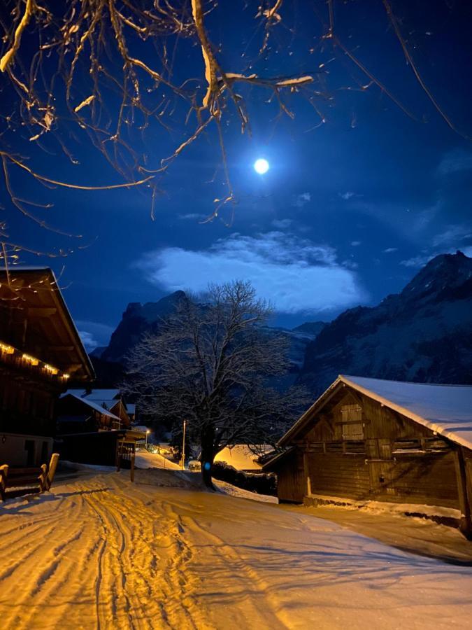 Chalet Herrschaft Grindelwald Exterior foto